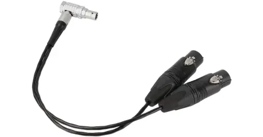 10-pin to Dual XLR